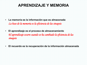 APRENDIZAJE Y MEMORIA