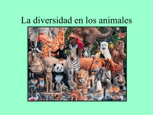 Diversidad en los animales