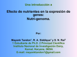 EFFECT OF NUTRIENTS ON THE GENE EXPRESSION: Nutri