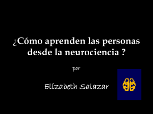 cmoaprendenlaspersonasdesdelaneurociencia.