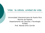 celula gest2020-2009 - Universidad Interamericana de Puerto