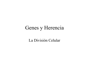 Genes y Herencia - ies hoces del duratón