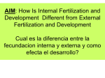 Interno vs Externo - Hicksville Public Schools