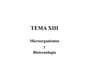 Biología. 2º Bachillerato. Tema 11: Microorganismos y biotecnología