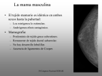Mamografía - XXX Congreso Nacional de la SERAM