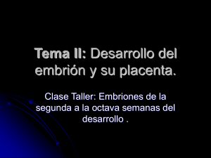 Tema II: Desarrollo del embrión y su placenta.