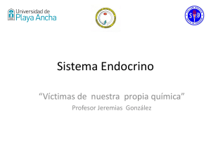 Sistema Endocrino