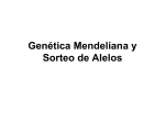 Genética Mendeliana y Sorteo de Alelos