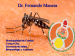 El Dengue - Municipalidad de Corral de Bustos Ifflinger