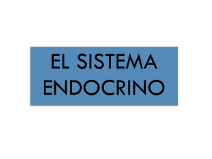 glándulas endocrinas