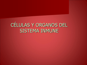 células y orgános del sistema inmune