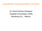Leucemia Granulocítica Crónica