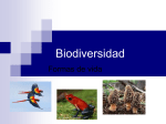 Biodiversidad - Profejudith