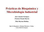 Prácticas de Bioquímica y Microbiología Industrial