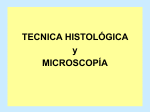 TP_1.TECNICA_HISTOLÓGICA_
