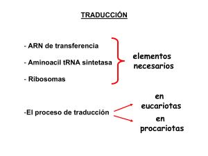 Tipos de intrones