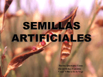 semillas artificiales - IHMC Public Cmaps (2)