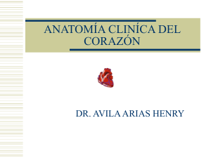 sistema cardiovascular