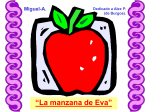 La manzana de Eva.