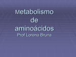 Metabolismo de aminoácidos