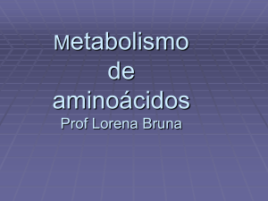 Metabolismo de aminoácidos