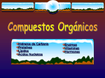 COMPUESTOS ORGÁNICOS