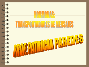 Sin título de diapositiva