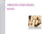 ¿Cómo se propaga el virus de la influenza AH1N1?