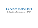 Genética molecular I