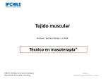 Tejido Muscular - Bio edu ciencia