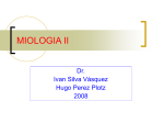 MIOLOGIA II
