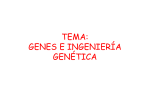 File - Ingeniería Genética