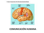 comunicación humana