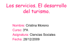 Sector Servicios