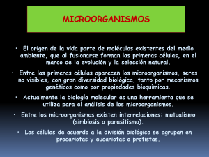 Generalidades microorganismos B V H P