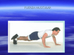 muscular strength and muscular endurance - Juegos