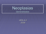 Neoplasias generalidades 2009