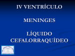 iv ventrículo meninges líquido cefalorraquídeo