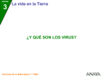 ¿Y qué son los virus?
