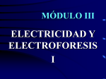 Electroforesis I