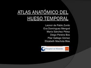 Atlas anatómico del hueso temporal