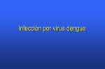 Infección por virus Dengue