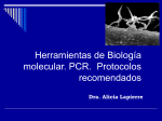 Herramientas de Biología molecular. PCR. Protocolos recomendados