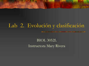 Lab 2. Evolución y clasificación
