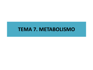 tema 7. metabolismo