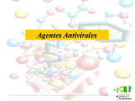 Clase antivirales 2016 File