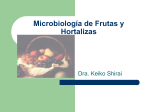 Microbiología de las frutas y hortalizas y sus productos