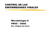 control de las enfermedades virales2