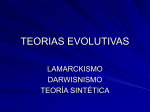 TEORIAS EVOLUTIVAS