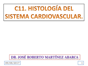 Presentación de PowerPoint